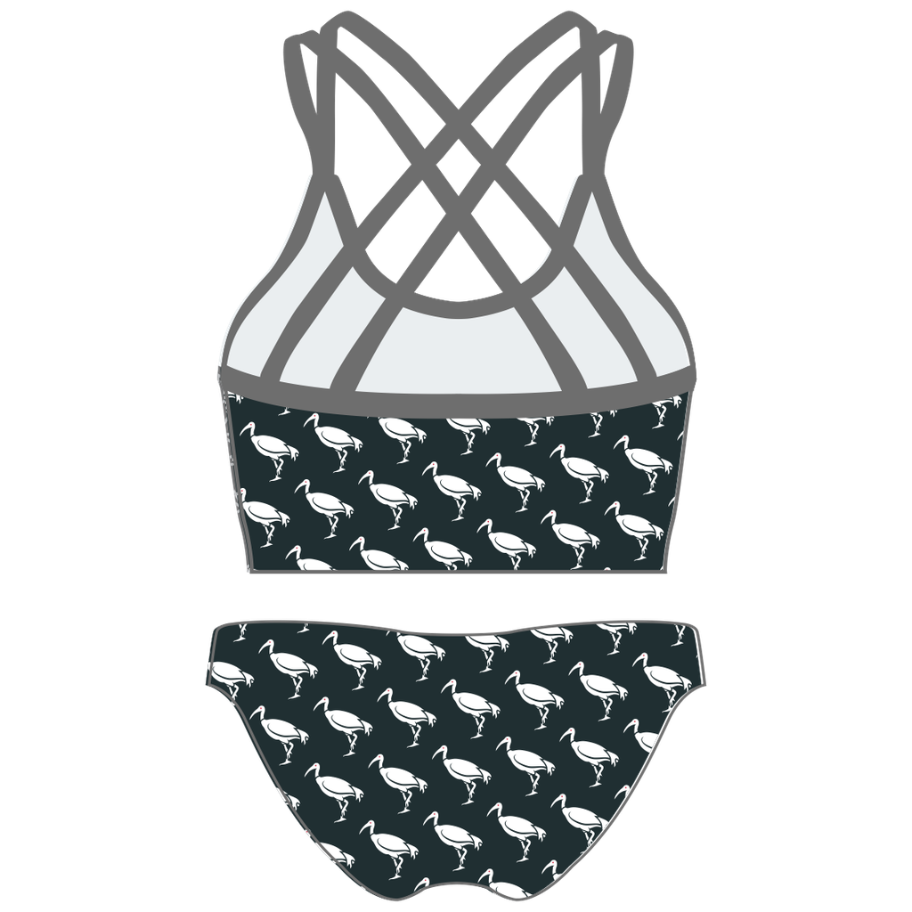 Griffith Two Piece Swimwear