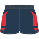 WTJ Rugby shorts