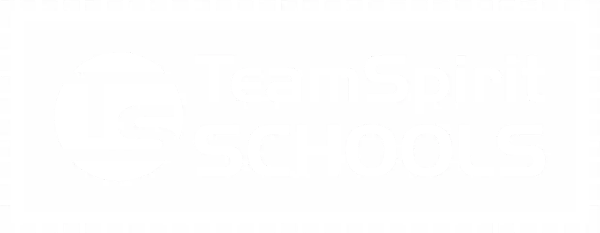 TeamSpiritSchool